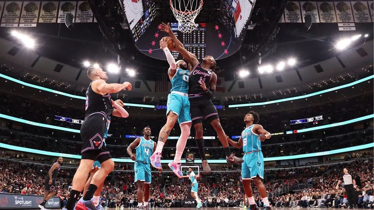 Hornets Bulls