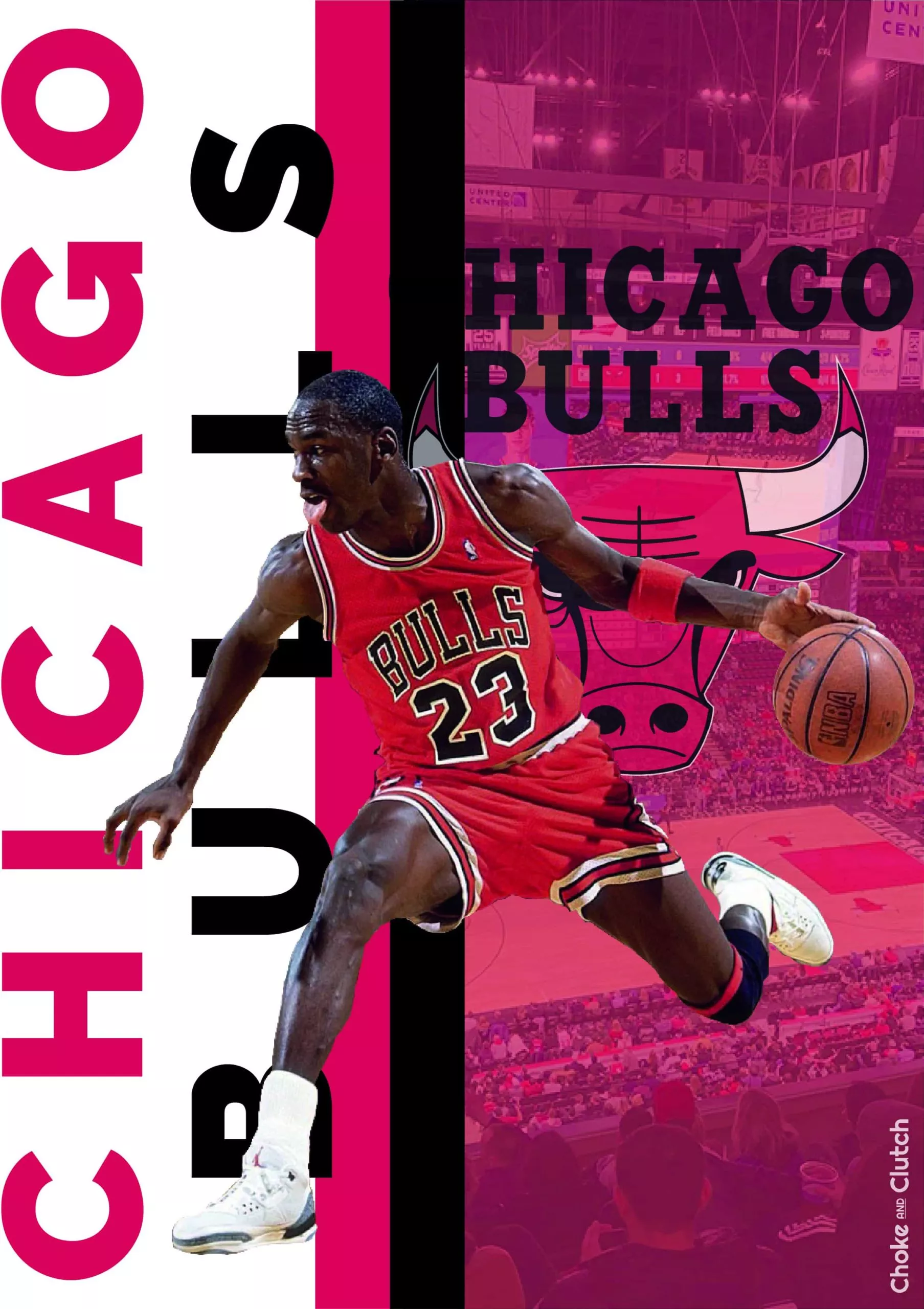 Histoire de la franchise NBA des Bulls de Chicago